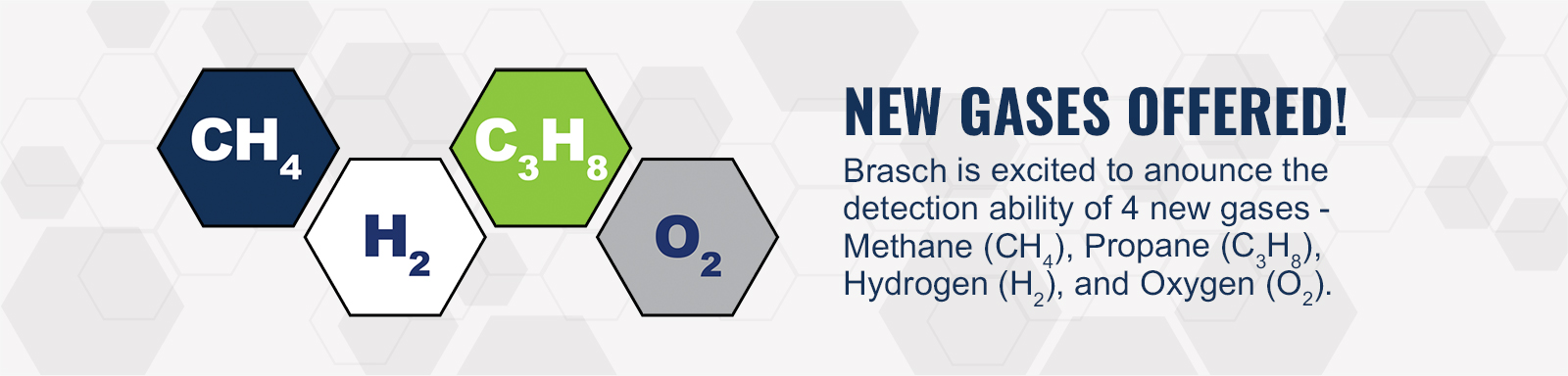 NEW GASES OFFERED! Brasch is excited to anounce the detection ability of 4 new gases - Methane (CH4), Propane (C3H8), Hydrogen (H2), and Oxygen (O2).